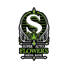 Super Autoflowers Super Autoflowers DISCOUNT CODE {month} {year} - [{NUMBER} Promo's]