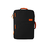 Standard Luggage Backpack
